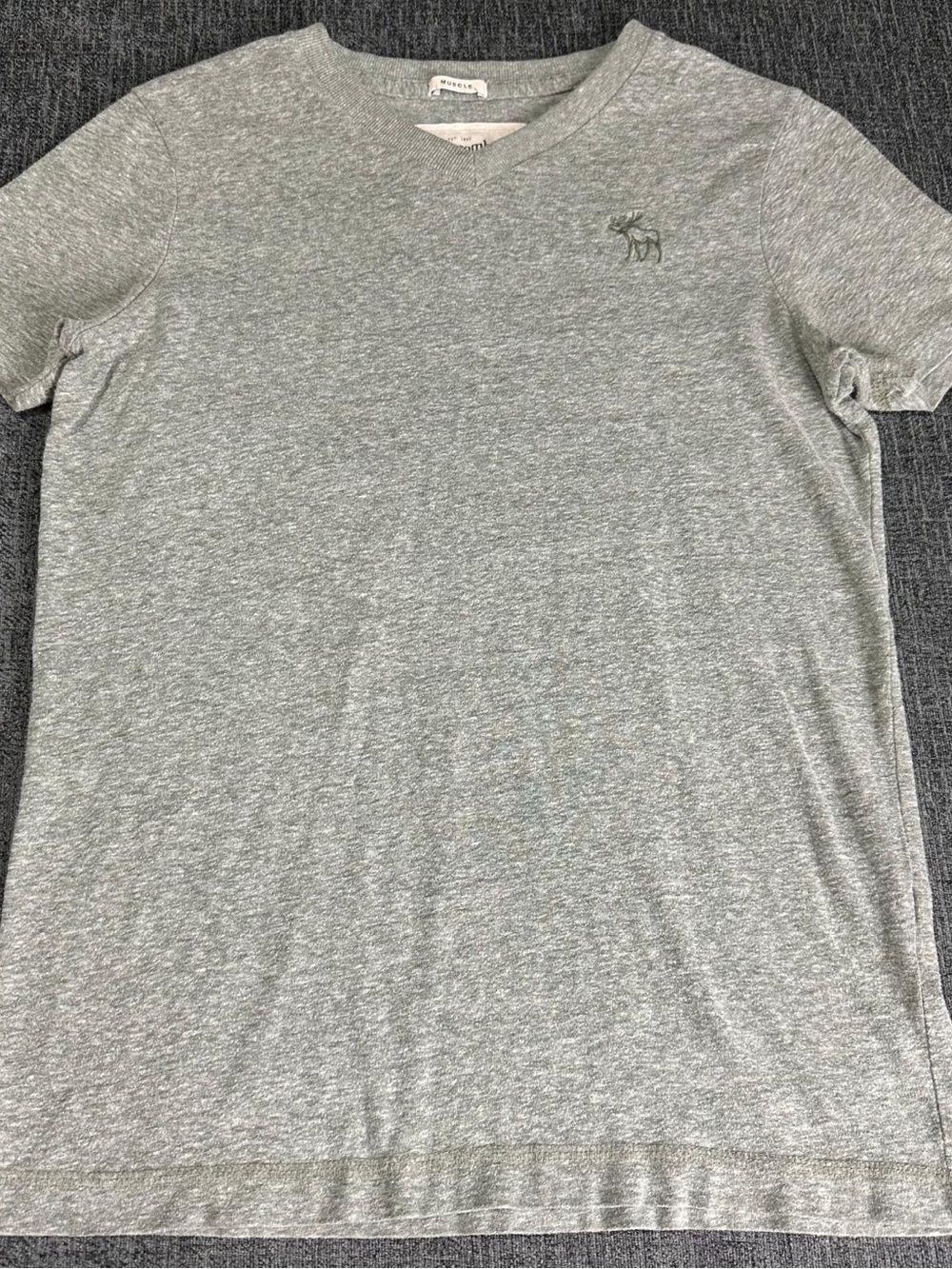 Y2K Mens Abercrombie & Fitch Small Muscle Green T-Shirt Moose Logo Designer tee